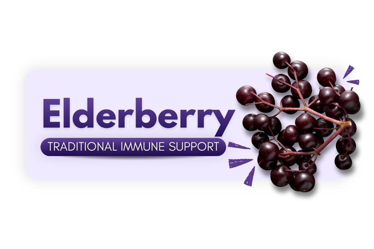 Elderberry traditional immune support ingredient representing its role in helping support the immune system and overall wellness