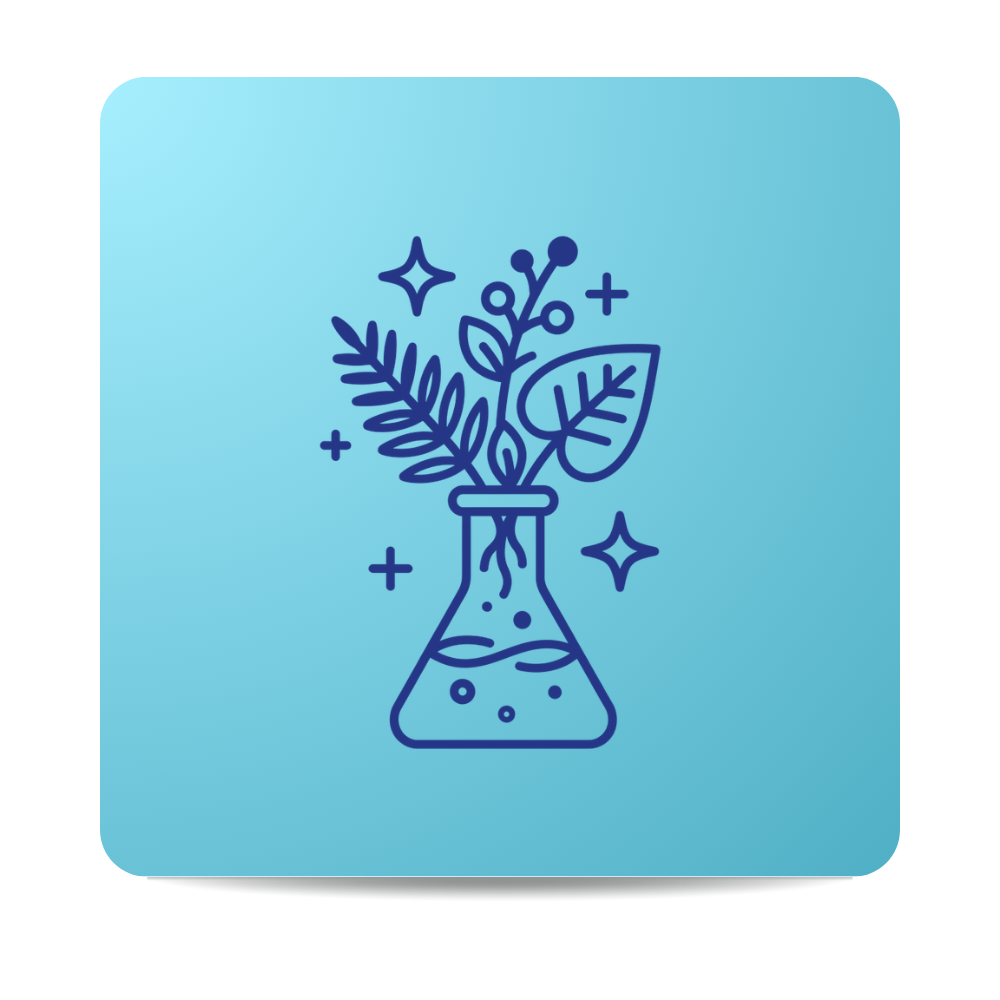 Herbs placed on a conical flask representing herbal blend supplements used in formulations combining natural plant ingredients