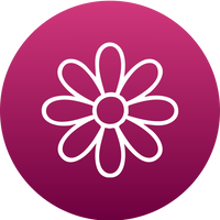 <strong>Echinacea</strong>