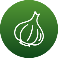 <strong>Garlic Bulb</strong>