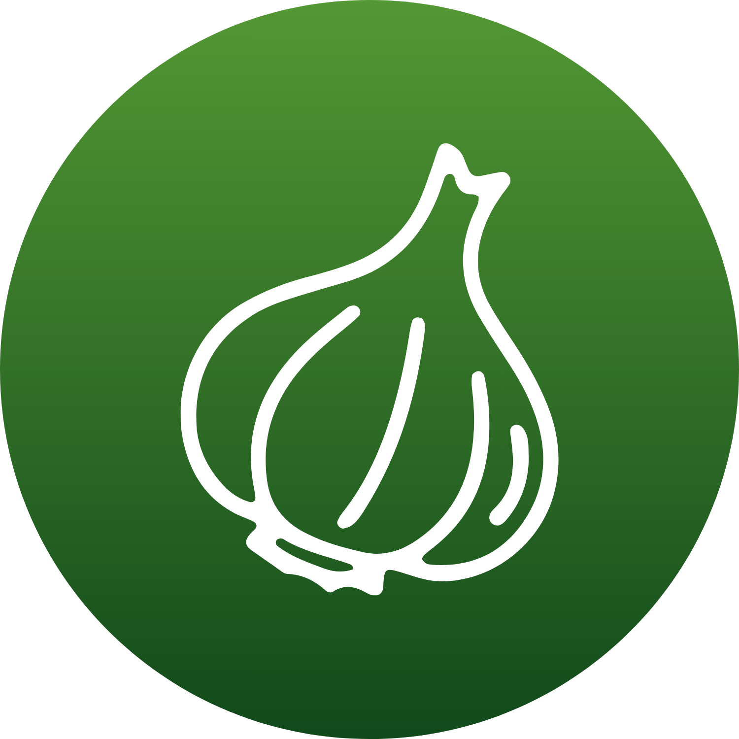 Garlic bulb icon for cardiovascular and immune health